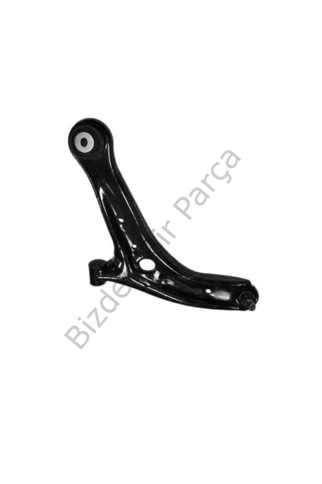 SALINCAK SAĞ FİESTA VI