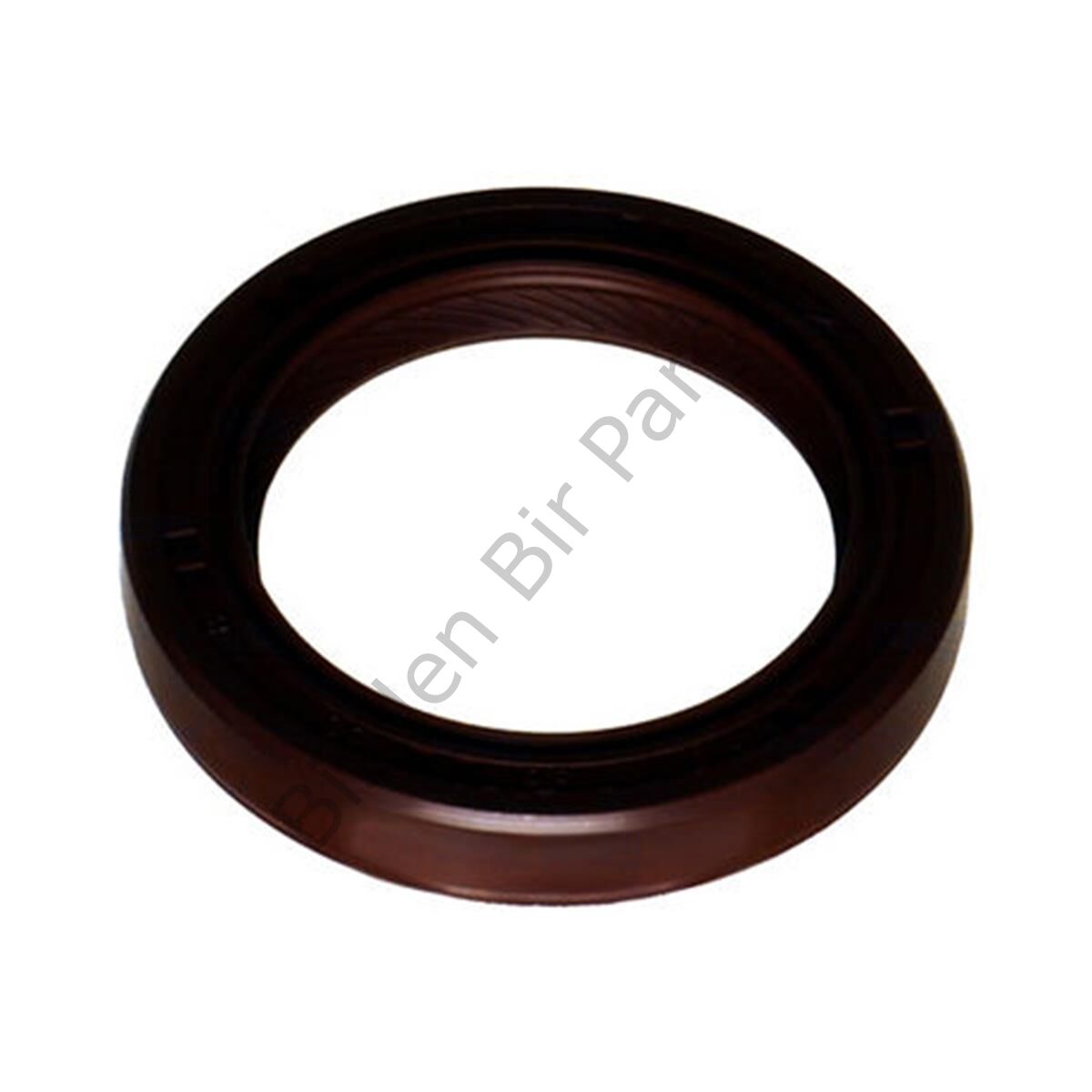 EKSANTRİK KEÇE ANTARA CAPTİVA