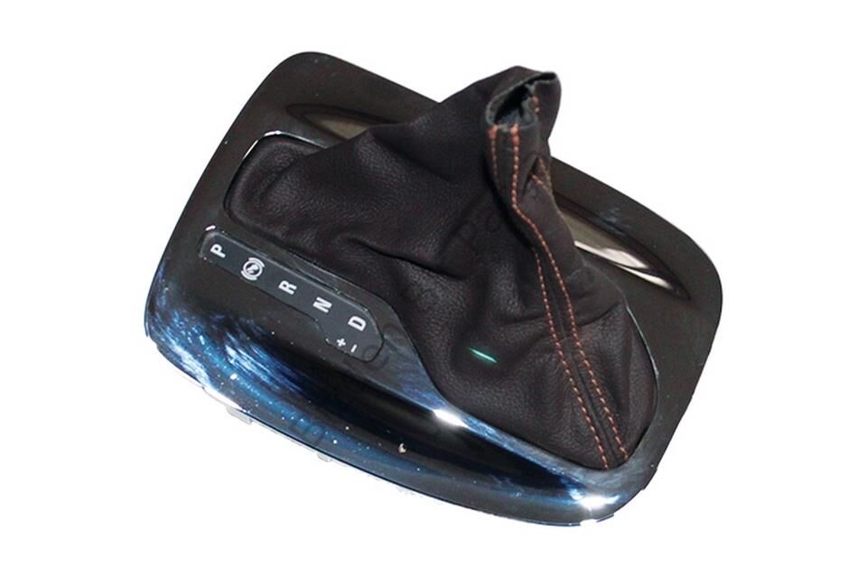 VİTES KÖRÜĞÜ KAHVERENGİ İNSİGNİA OTOMATIK