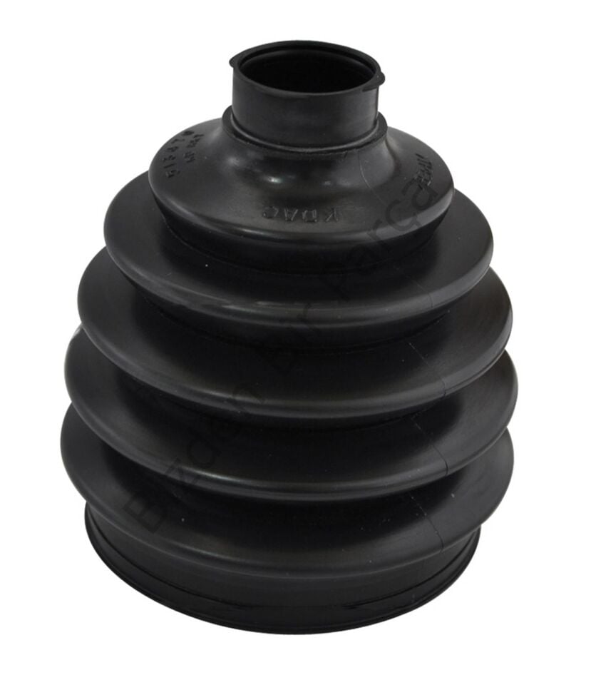 AKS KÖRÜĞÜ DIŞ CAPTİVA